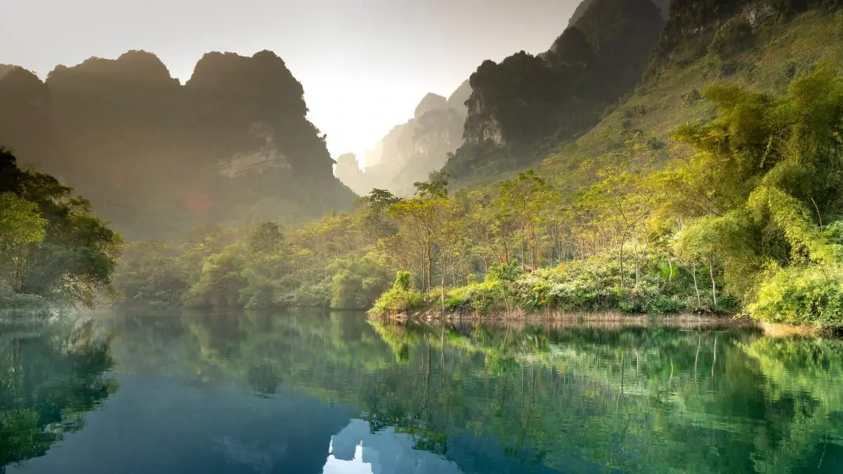 精密绿色高性能